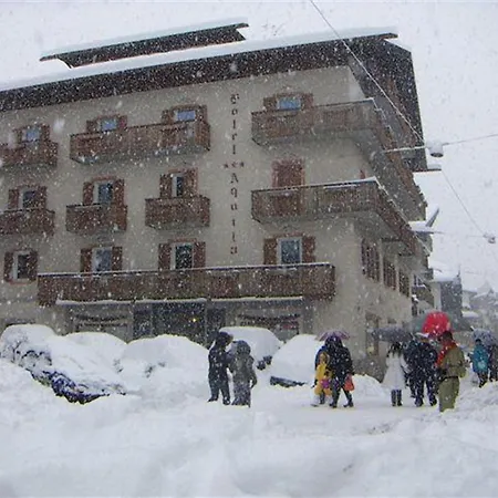 Aquila Cortina dʼAmpezzo