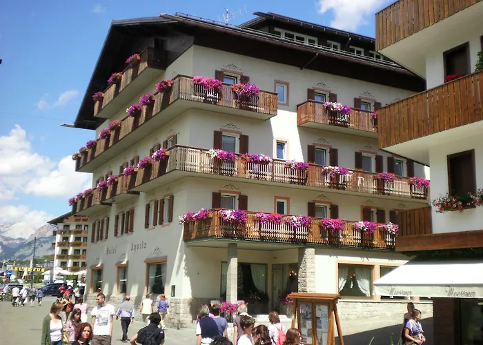 Aquila Cortina dʼAmpezzo