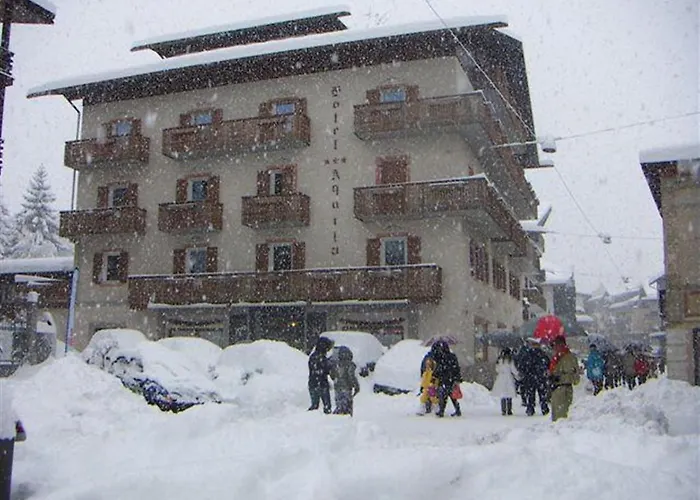 Aquila Cortina dʼAmpezzo